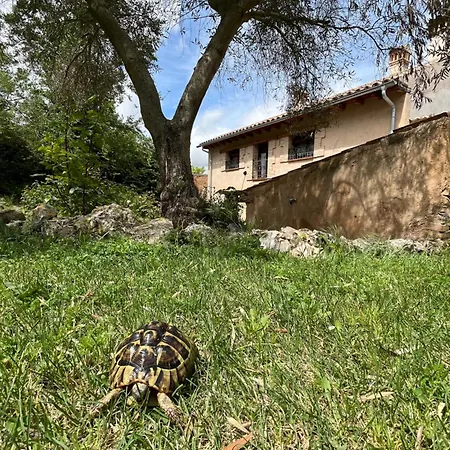 Сasa de vacaciones El Salegar Roturas