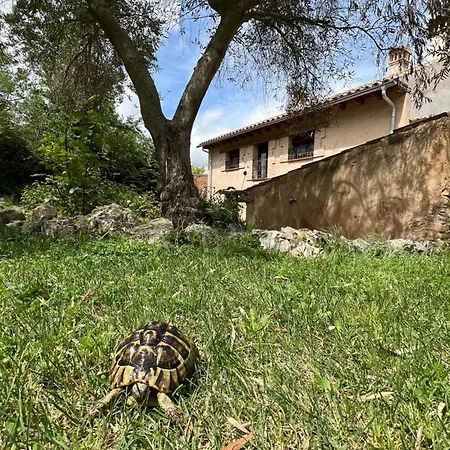 Holiday home El Salegar Roturas